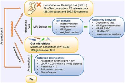 Association between gut microbiota and sensorineural hearing loss: a Mendelian randomization study